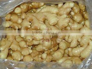 Sell Fresh vegetables-garlic, ginger, onion, potato