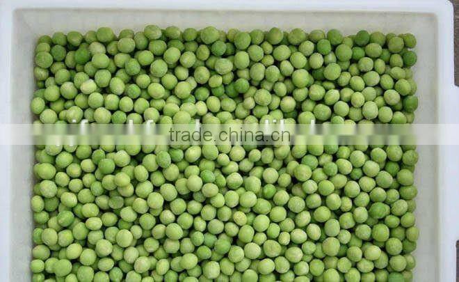 Frozen Products Peas Green One