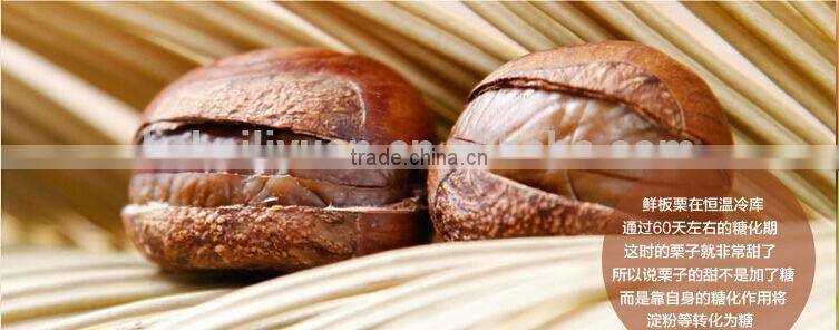 Best quality roasted chestnuts with shell, Chinese chestnuts