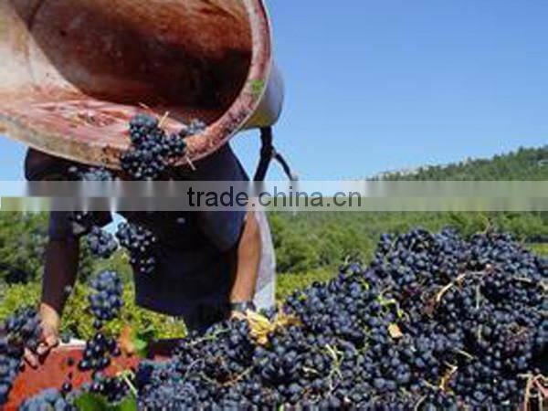 Grape processing machine , grape de-stemmer and crushing machine