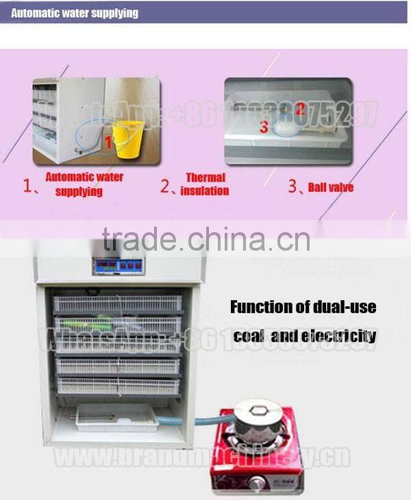 solar eggs incubator for hatching eggs in south africa