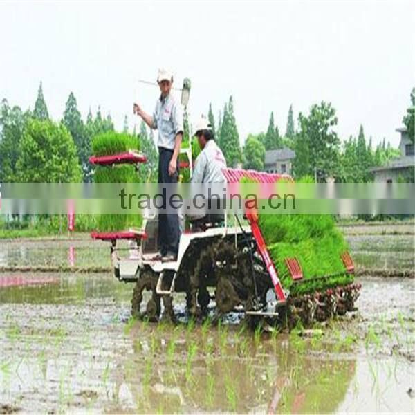 rice transplanter/6 row rice transplanter