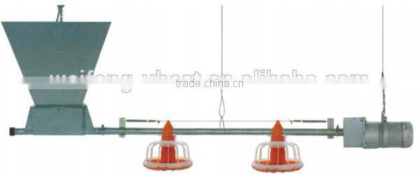 Automatic Chicken House Equipment For Poultry Chicken Farm