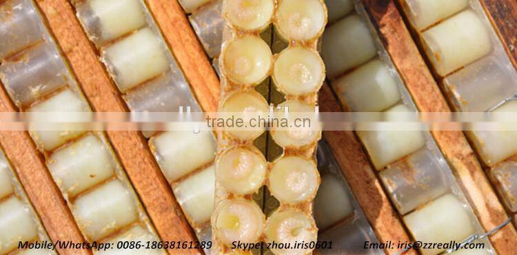 Competitive Price Fresh Organic Royal Jelly 10-hda 1.8%
