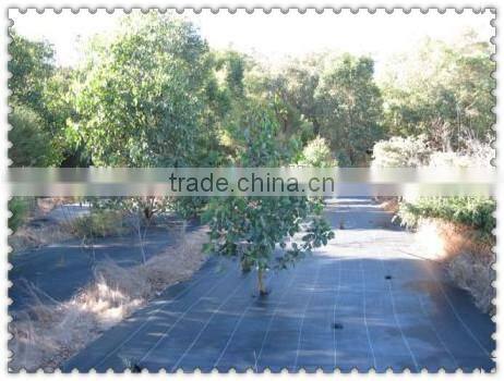 HDPE ground cover & weed resistant net from China