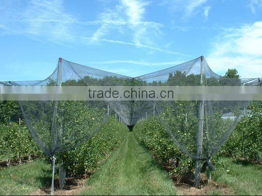 orchard anti hail net