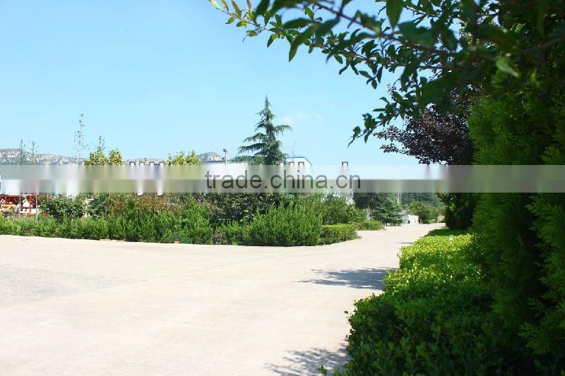 HLS120 Factory Suppy 2015 Cement Concrete Mixing Plant