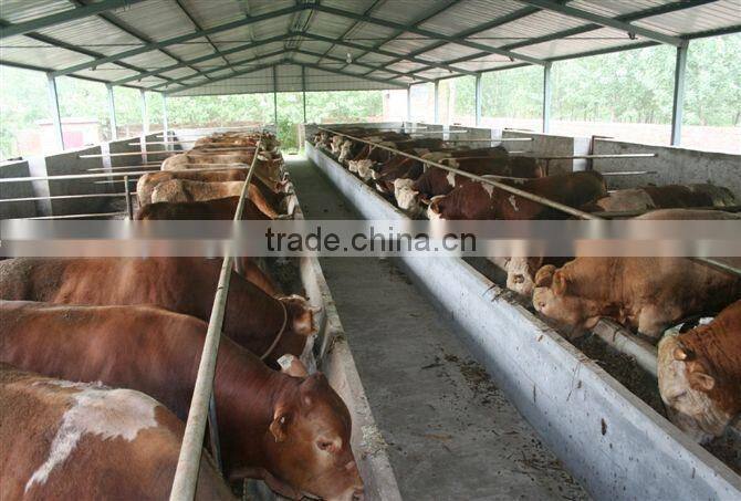 Professional grass chopper machine for animals feed