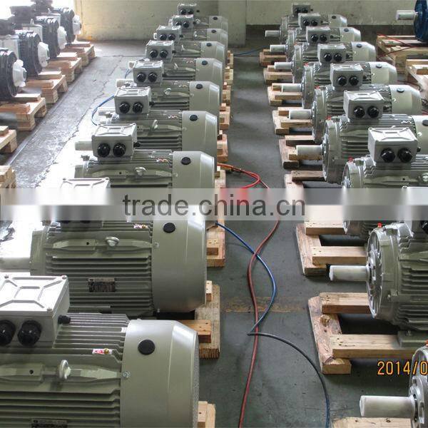 IEC Standard CE Certified High efficiency Three Phase Electric Motor