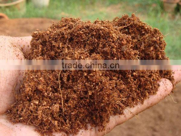 Special design washing coco peat drying machine/coco peat dryer for coco peat baler