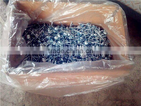 Hot sales! China factory supply high quality galvanized umbrella head roofing nails