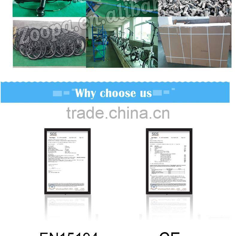 electric mountain bike 28" CST tire