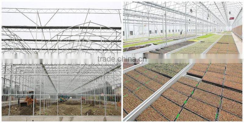UV Coating PC Sheets Type Polycarbonate Commercial Greenhouse
