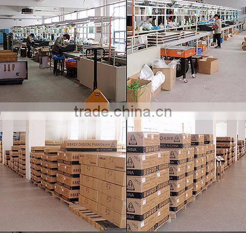 Cheap new design hammer action keyboard teaching electric piano