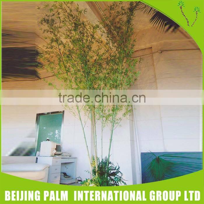 Plastic Mini Bamboo Interior Decoration For Garden Ornaments