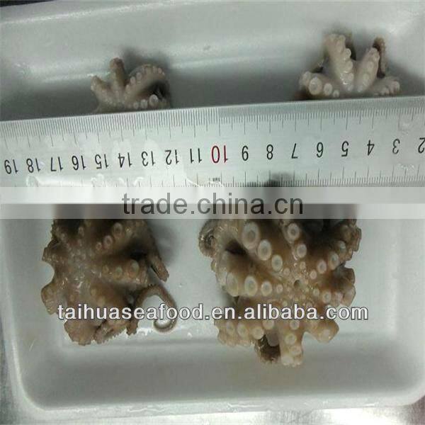 best sea frozen baby octopus iqf