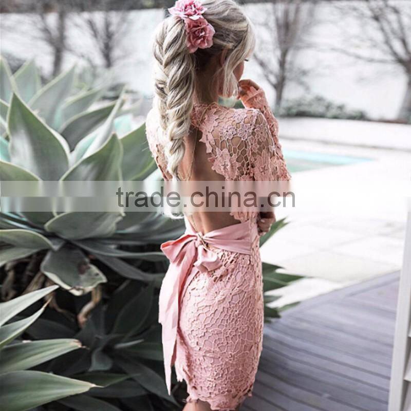 Runwaylover 092 New Style 2017 Ladies Sexy Lace Transparent Party Dress