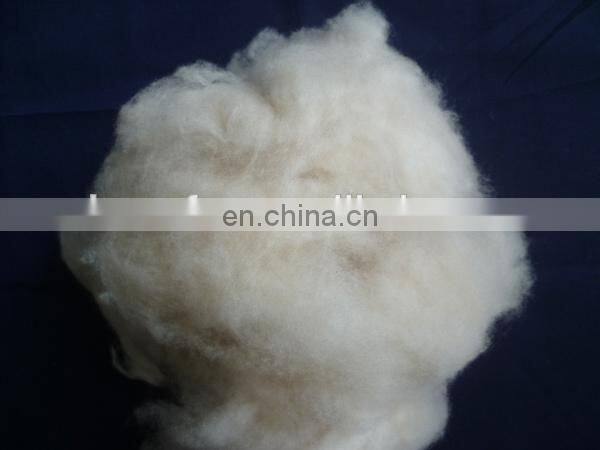 Dehaired and carded Cashmere Fiber Light Grey for india market