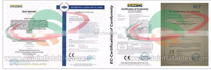 Commercial Grade Kids Inflatable Bumper Boat For Sale / Tiger Bumper Boat