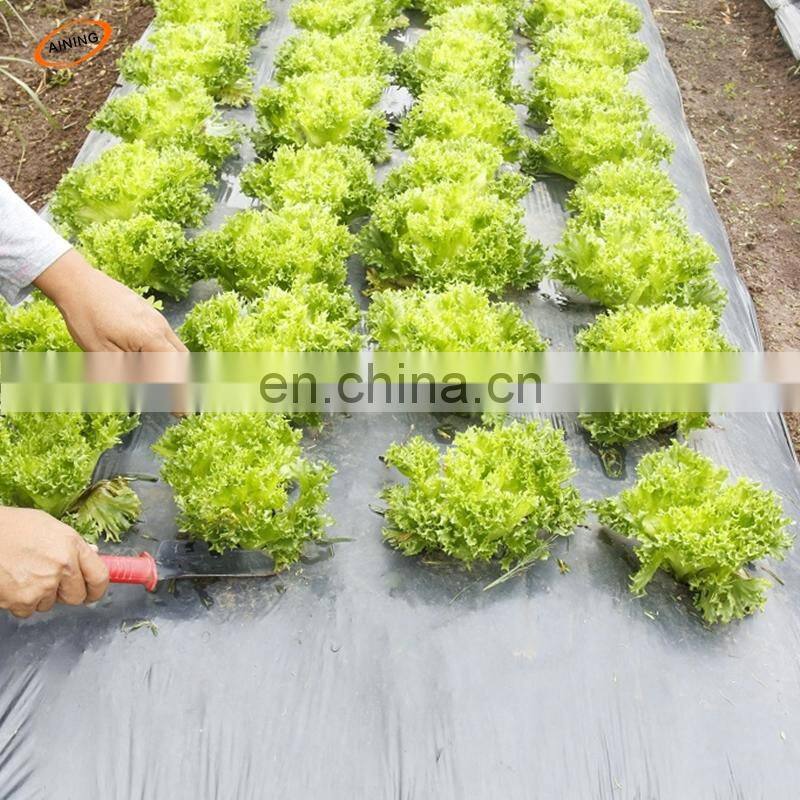 High-quality Plastic Ground Cover for Agriculture