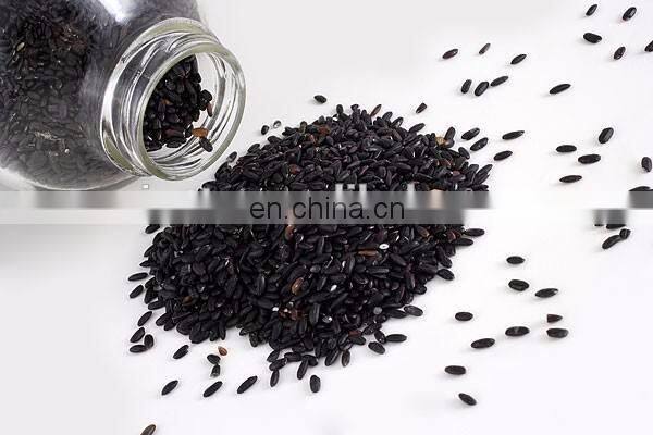 Small commercial oil press machine/Cooking oil making machine/Electric oil machine