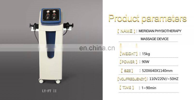 meridian massage therapy physiotherapy acupuncture device for home use