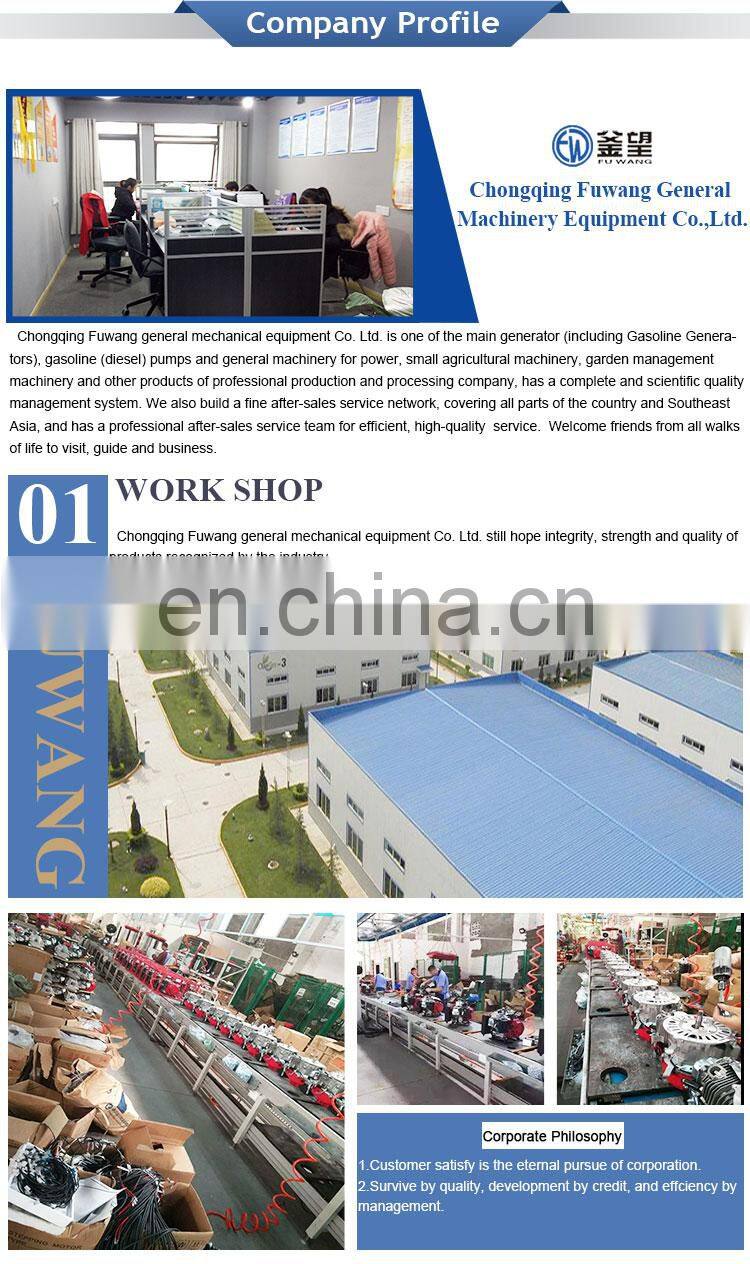 Air Cooled Two Stroke 52cc Earth Drill For Sale