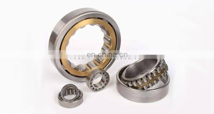 110RJ02 110RF02 110RT02 Cylindrical Roller Bearing 110RN02 110RU02