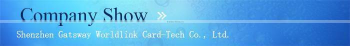 Wholesale Customized Printing Blank Chip Cards