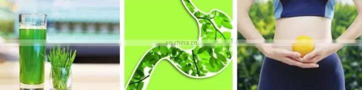 Factory Supplier 5:1 10:1 20:1 barley grass extract powder