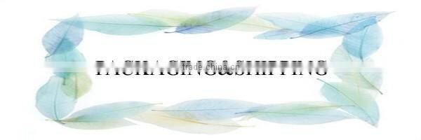 Aluminum Perfume Sprayer Fine mist sprayer with ribbered pp cap made in china