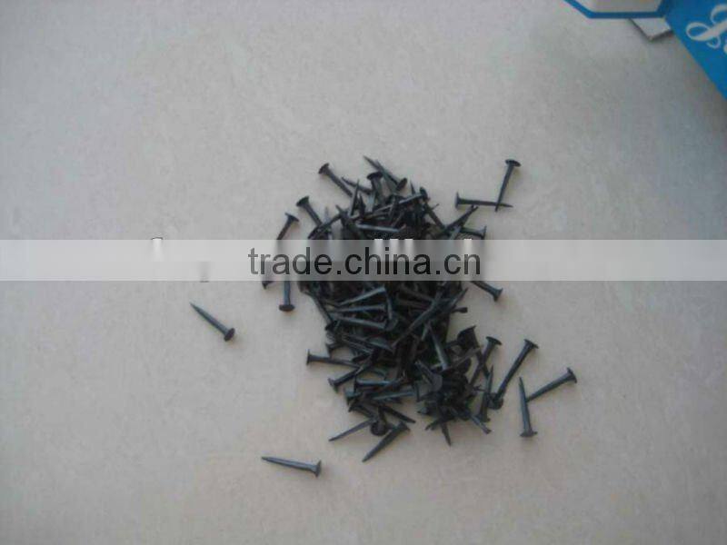 hot saled shoe tack nails(factory)