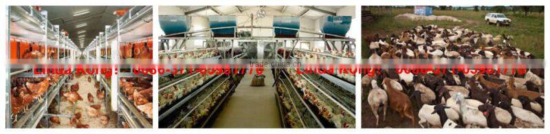 2015 oil cake chicken feed making machine 0086-15838349193
