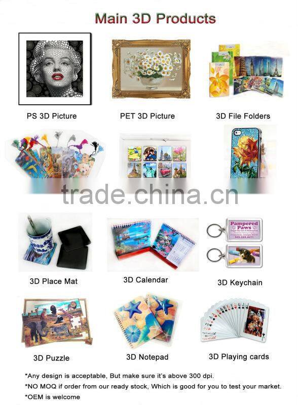 Guangzhou Lifeng promotion cheap 3d file folder