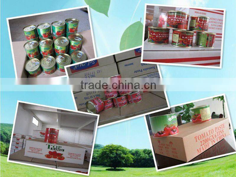 Premium quality 425gram canned tomato paste concentrated 28-30% tomato sauce