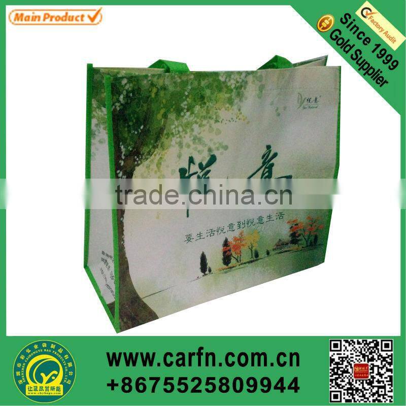 pp laminated non woven hand bag for shopping