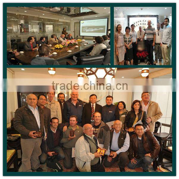 24 Ton/ day Industrial automatic fresh potato & sweet potato starch vermicelli making machine/Konjac vermicelli making machine