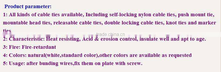 mounted hole cable tie pvc plastic cable ties