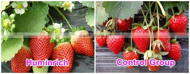 Huminrich 100% Water Soluble Organic Potassium Humate Best Fertilizer For Strawberry