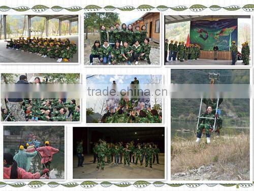 2015 NEW knapsack electric sprayers machine