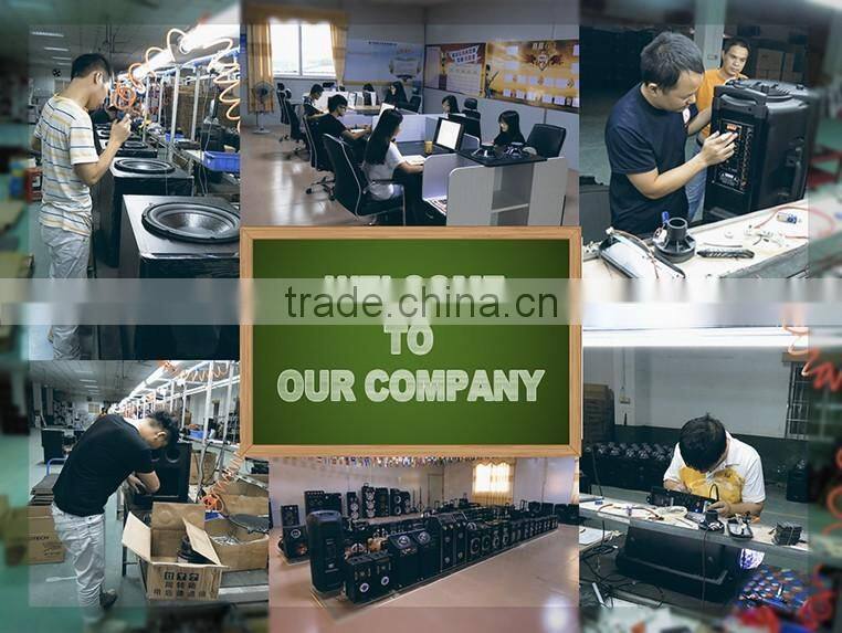 Best price creative active stage speaker with LED Light