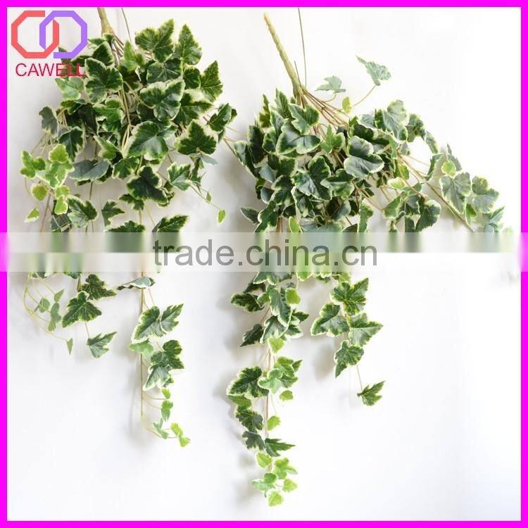 important of ornamental plant