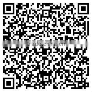 Auto Fan Belt Tensioner Pulley for Honda