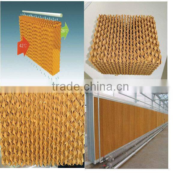 chicken poultry shed design