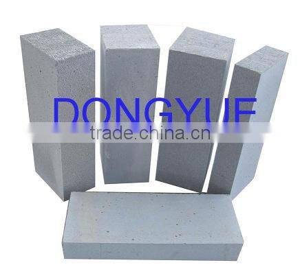 China Top Brand Aerated Autoclaved Concrete Plant