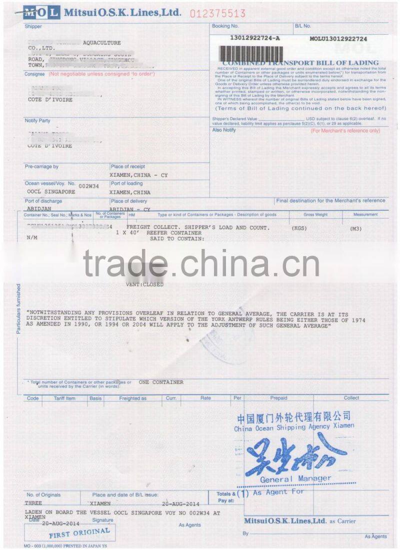 Pacific Mackerel Fish Whole Deep Frozen