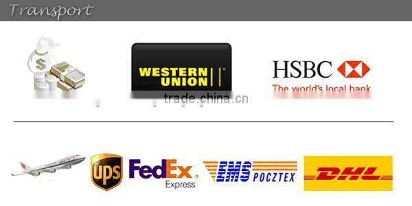 Professional most effective Q switch ND:YAG Laser/ Q switched nd yag laser/ laser fotona machine