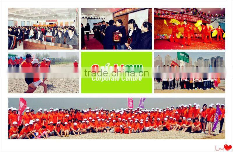 black edible fungus mushroom strips