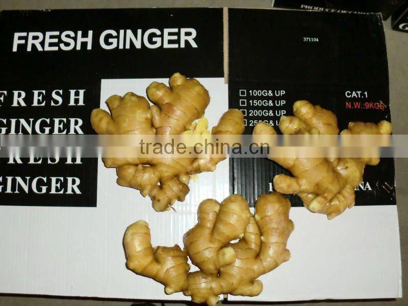 2015 Fresh Ginger