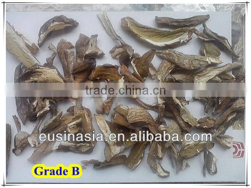 quick frozen porcini mushroom